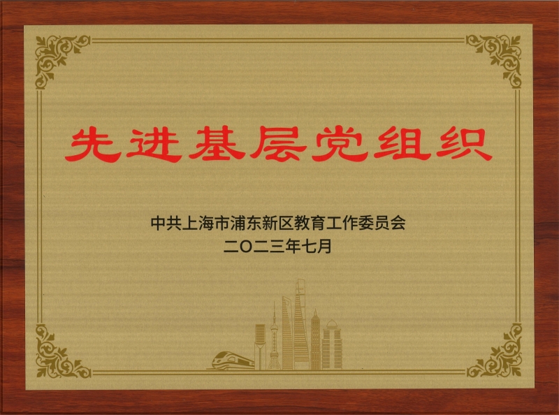 先进基层党组织奖牌.jpg